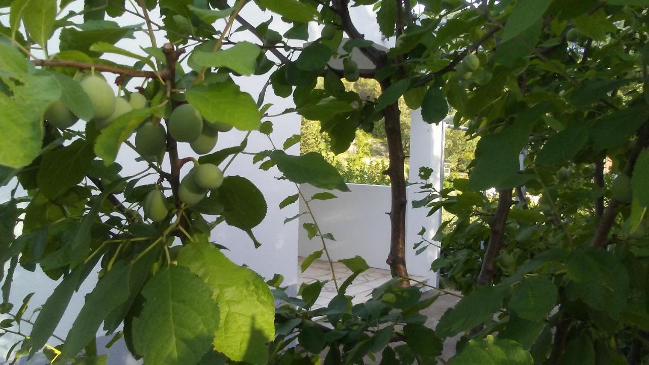 Kučiće Kuca Za Odmor Maka 빌라 외부 사진