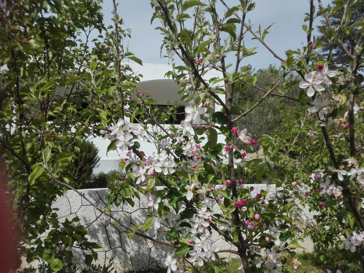 Kučiće Kuca Za Odmor Maka 빌라 외부 사진